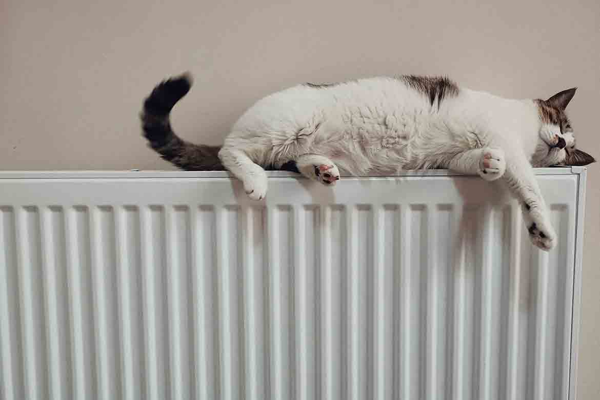 heating installation make warm radiators with cat