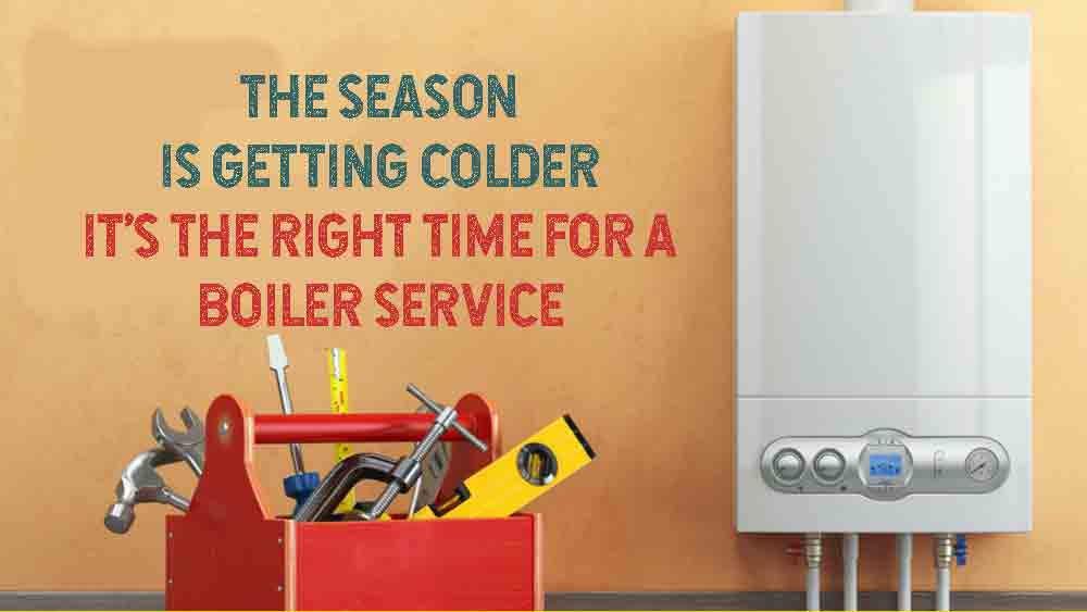 seasonal boiler service